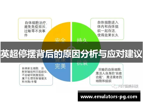 英超停摆背后的原因分析与应对建议 英超停摆背后的原因分析与应对建议