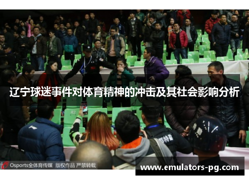 辽宁球迷事件对体育精神的冲击及其社会影响分析